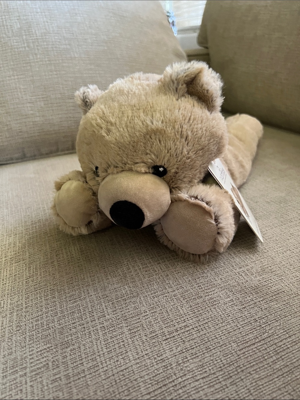 Warmies brown bear Laying Down
